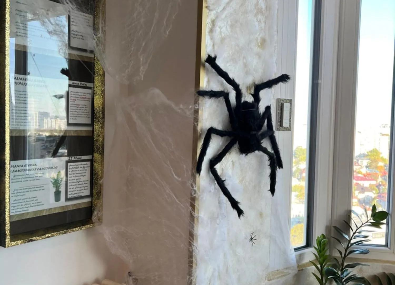 Ferienwohnung Casa S Piata Alba Iulia Bukarest 0*,  Rumänien